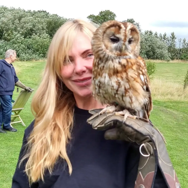 Owl Experiences