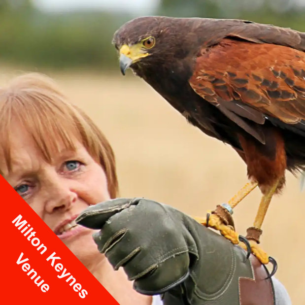 Boy with Elvis the Eurasian eagle owl ( bubo bubo ) on a Meet The Owls experience day.