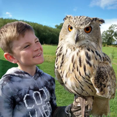 Young boy with a very large Siberian eagle owl on his fist VS