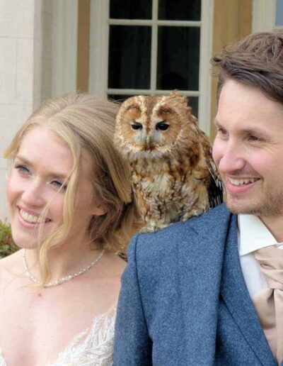 Barn Owl Ring Bearer for weddings - Bride and groom with Fletcher our tawny owl