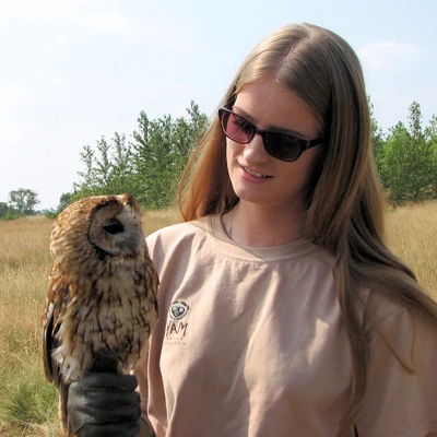 Tawny owl with Girl wearing sunglasses on an owl handling experience