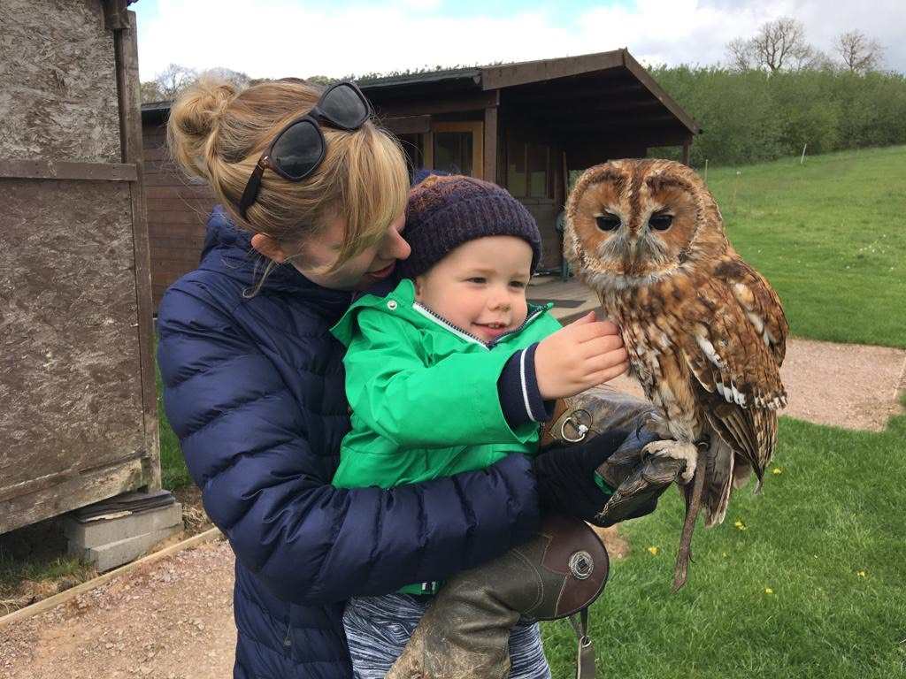 alders Zofia and Juliet the barn owl on a falconry experience london A very young enthusiast saying hello to fletcher our tawny owl