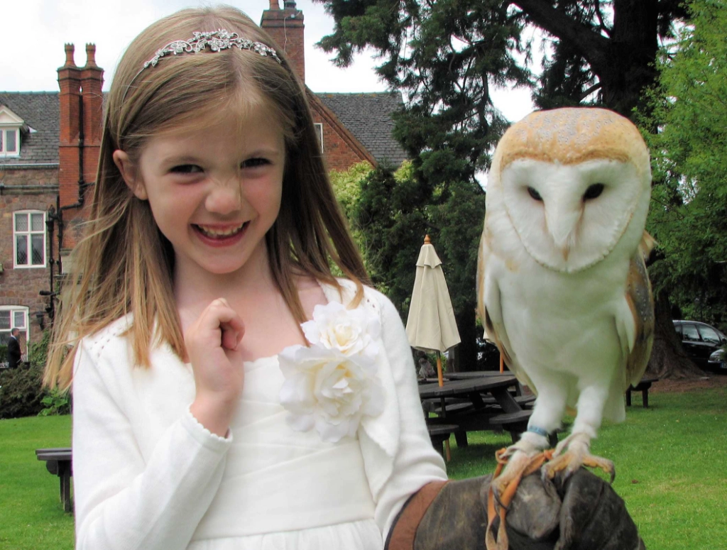 alders Zofia and Juliet the barn owl on a falconry experience london Young girl with our barn owl