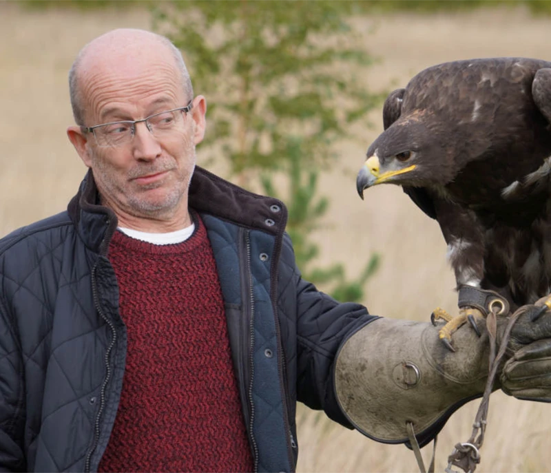 OLga the Steppe eagle at Bird on the Hand . the man who is holding her looks very wary.