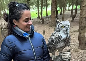 Alders Farm. Zofia and Alexander the great horned owl on a falconry experience and owl experience at Milton Keynes.