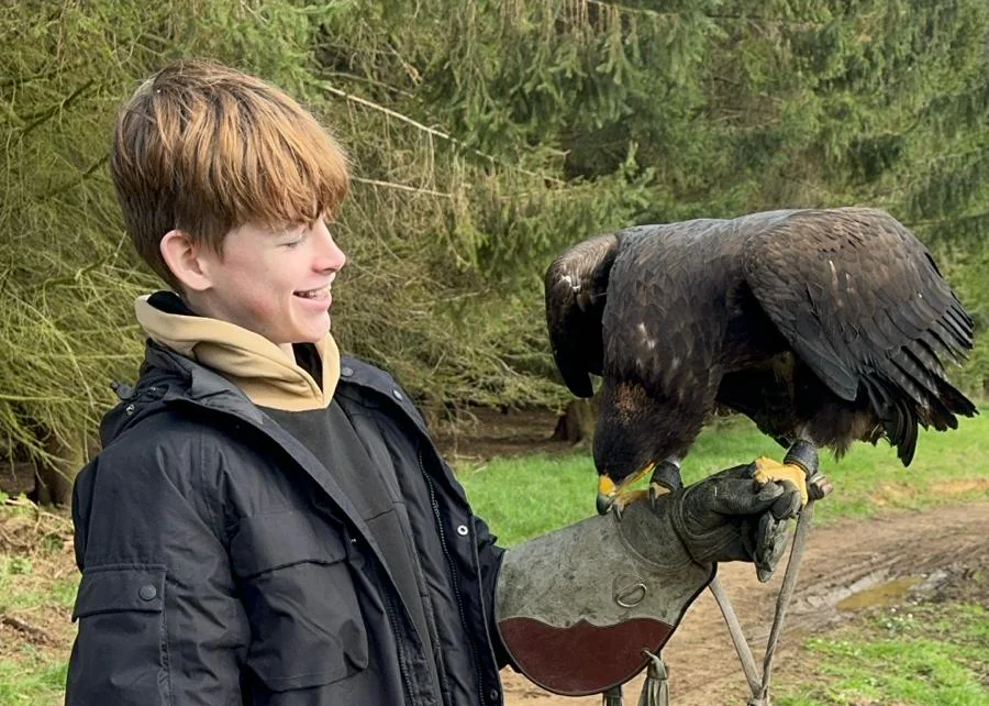 alders Zofia and Juliet the barn owl on a falconry experience london Olga our Steppe eagle om the fist of a young visitor .