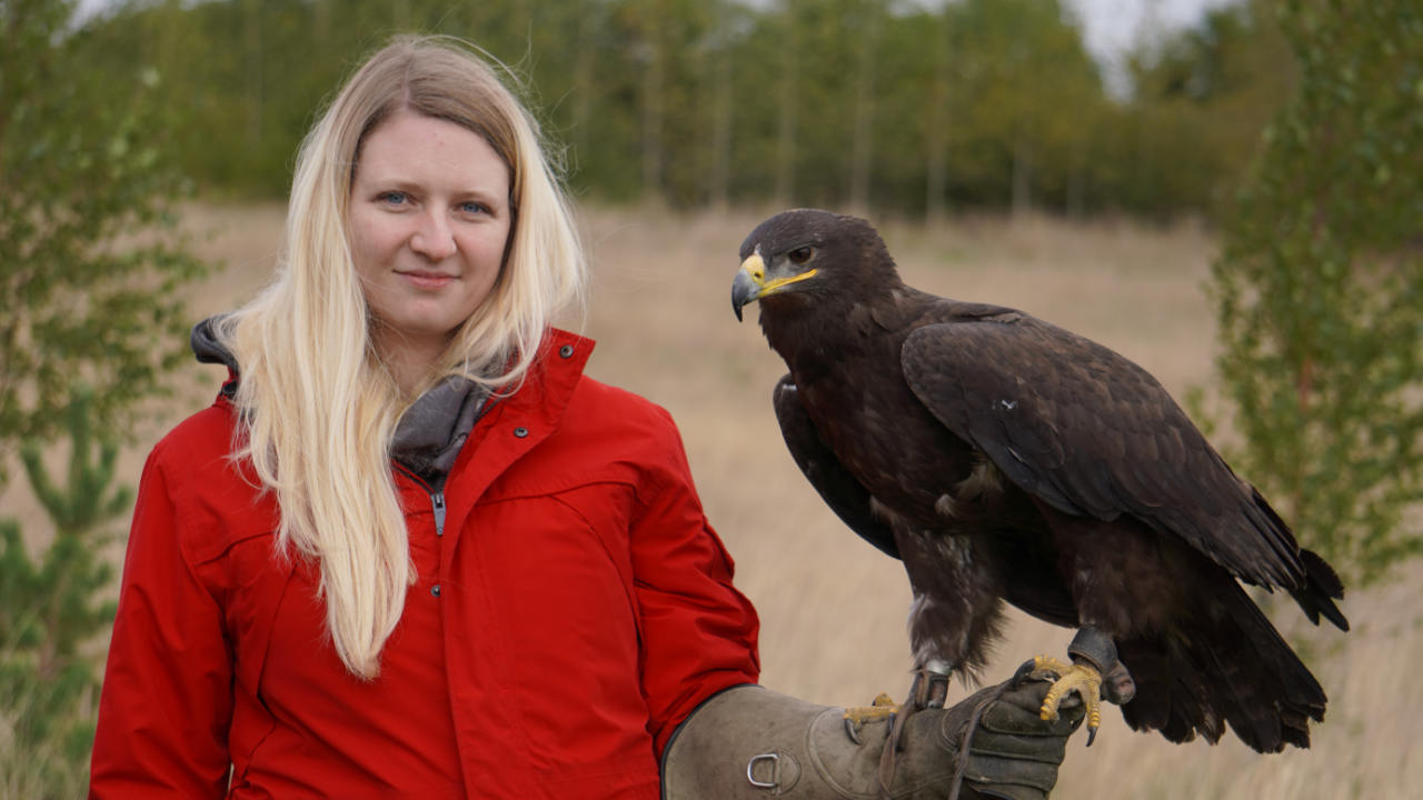 alders Zofia and Juliet the barn owl on a falconry experience london Woman in red Jacket holding Steppe Eagle