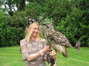 Elvis our Eurasian eagle owl on display at a wedding. Shown being held by a lady guest