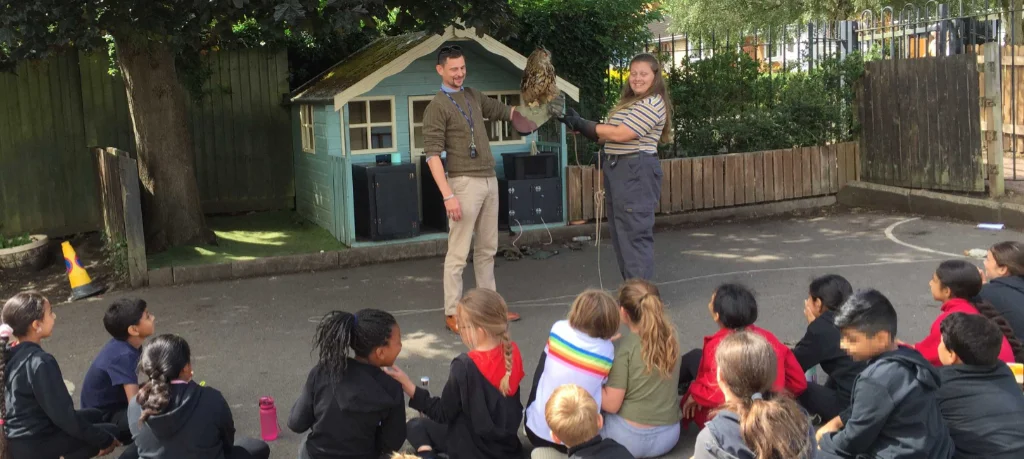Children being introduced to Elvis our Eurasian eagle owl during a school visit on birds of prey 
