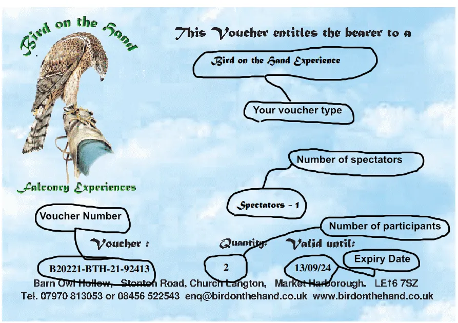 falconry experience voucher image
