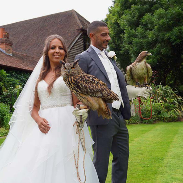 Juliet the barn owl ring bearer has just delivered the rings.